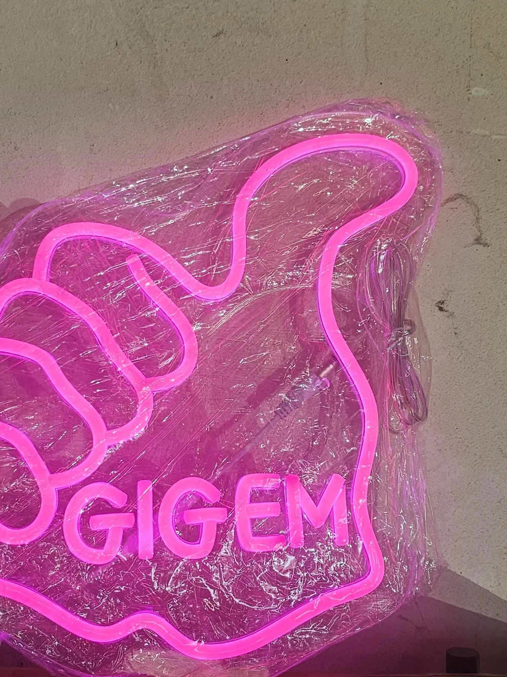 Pink Gigem Neon Wall Sign - Home Wall Decor